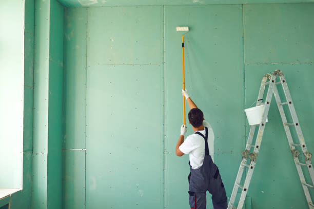  Horseshoe Bay, TX Mold Removal Pros